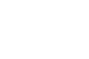 Ref_burger-king